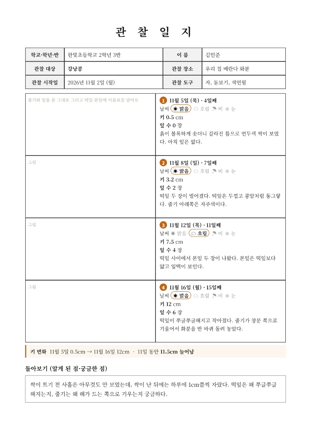 관찰일지 작성 예시 - 네 번의 관찰 날짜와 날씨, 키와 잎 수, 관찰 메모를 그림 칸 옆에 적은 모습